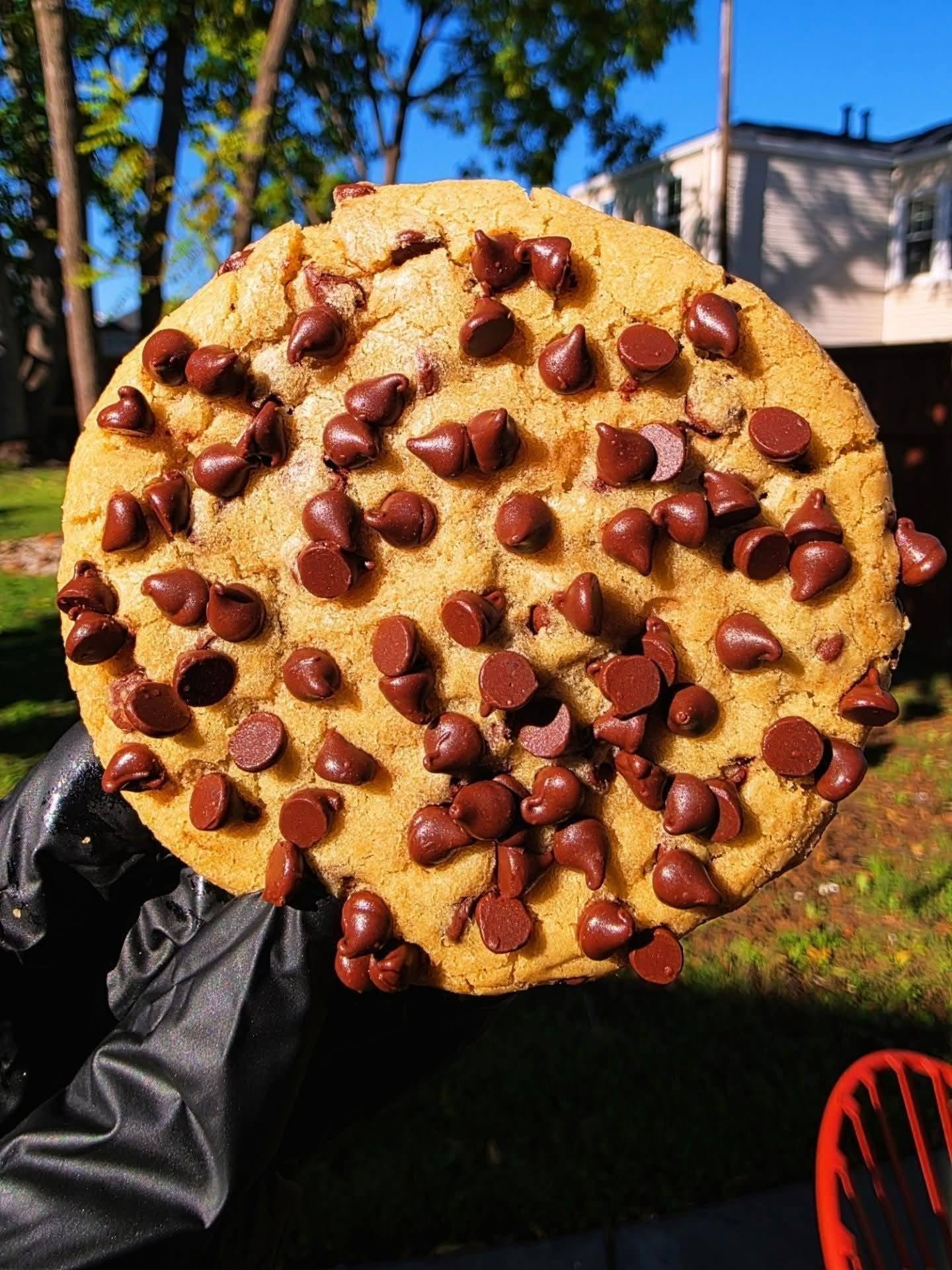 Choc-Chip-Cheesecake-Filled-Cookie